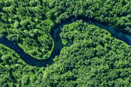 Aerial drone view of blue curved river and green summer woods