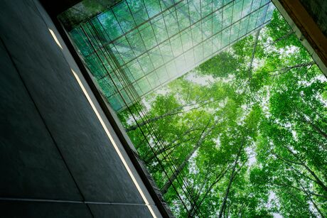 View from below through a glass roof onto green tree canopies and sky