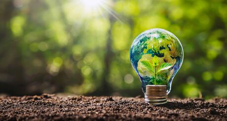 Glass sphere with Earth motif resting on soil against blurred green background