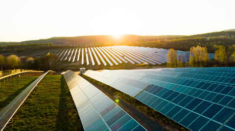 Sunset over a large solar farm with multiple rows of solar panels on a grassy field.