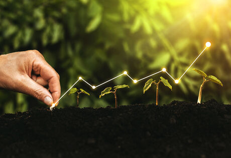 Hand touching small plants growing in dark soil with sunlight in the background