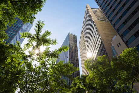 Modern Office Buildings With Trees Below and Sun Reflection in City Downtown