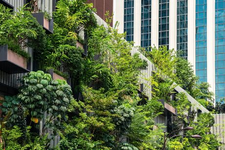 Building facade with green plants growth on the wall. Vertical garden in Kuala Lumpur city, Malaysia. Eco friendly urban environment. Sustainable modern and ecological architecture